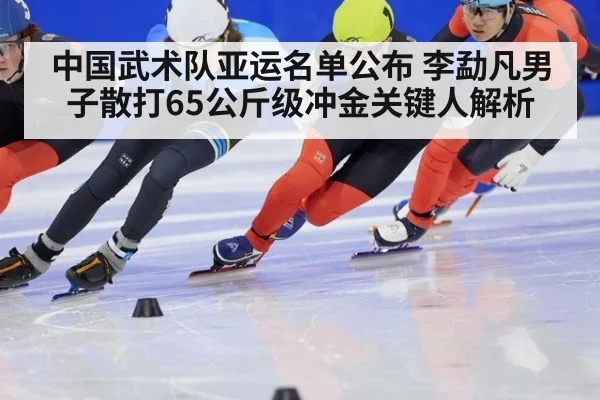 中国武术队亚运名单公布 李勐凡男子散打65公斤级冲金关键人解析
